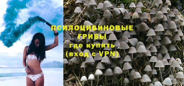 гашик Алзамай