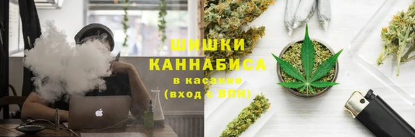 твердый Алексин